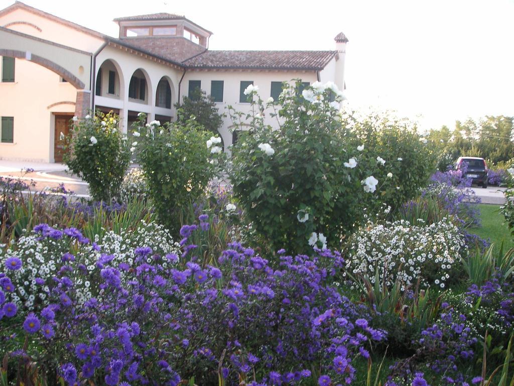 Agriturismo Due Torri Montebelluna Eksteriør bilde
