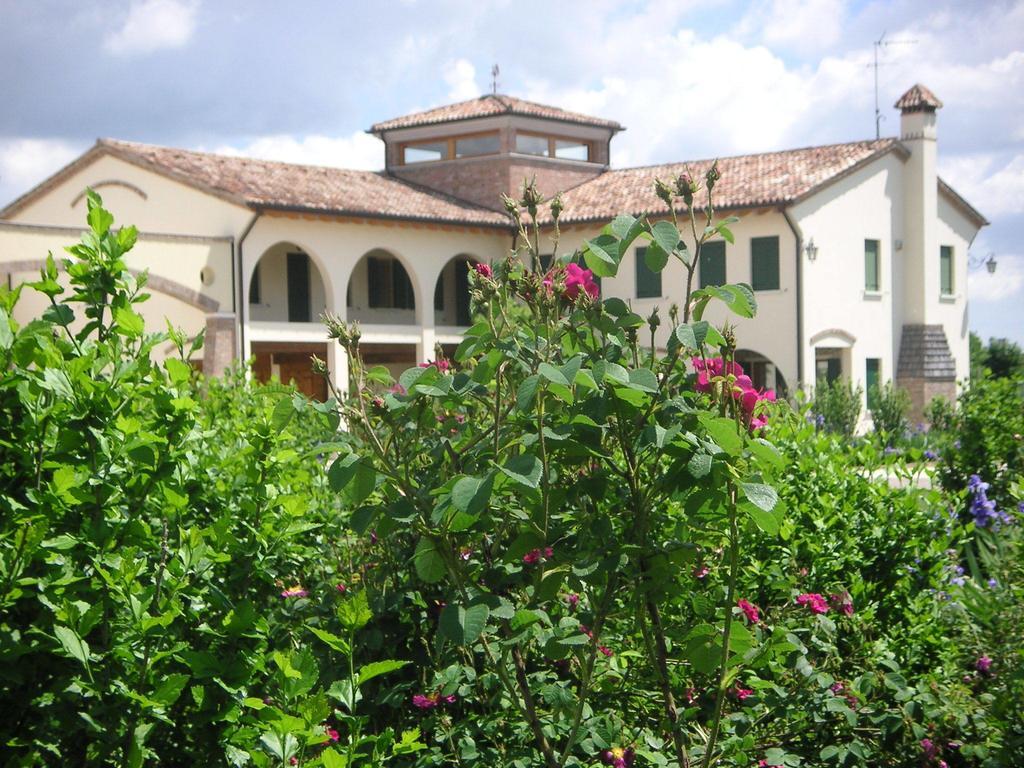 Agriturismo Due Torri Montebelluna Eksteriør bilde